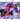 Toddler Claw Clip (Pack of 5) Multi Color