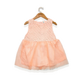Imported Baby Girls Net Frock